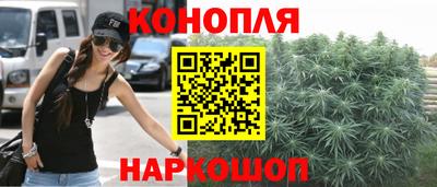 apvp Краснодар