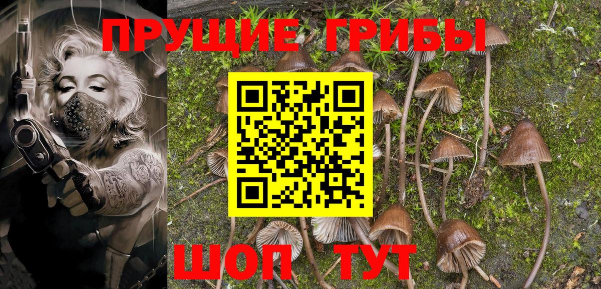Галлюциногенные грибы Magic Shrooms Кудымкар