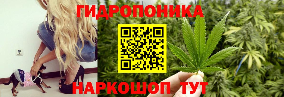 Кудымкар  Конопля Amnesia  Шишки марихуана марихуана  Каннабис SATIVA & INDICA  Вход с VPN 